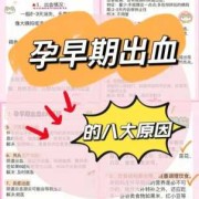 怀孕初期出血要怎么办,早孕期出血是什么原因造成的