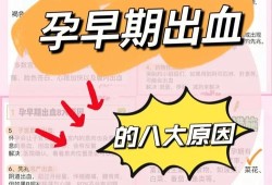 怀孕初期出血要怎么办,早孕期出血是什么原因造成的