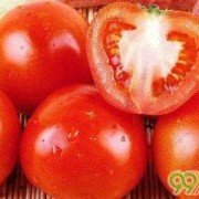 孕妇吃生番茄对胎儿好吗（孕妇爱吃西红柿好吗？怀孕2个月多了，对胎儿会很好的吗）