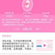 记录孕周的app哪个最好,怀孕期app哪个好