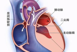 胎儿心脏发育异常原因（胎儿心脏发育异常原因有哪些）