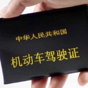 怀孕期间可以学驾照吗（怀孕期间可以学驾照吗有影响吗）