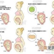 胎儿什么时候有听觉（几个月宝宝会追声）