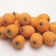 怀孕吃枇杷对胎儿好吗（怀孕吃枇杷对胎儿好吗有影响吗）