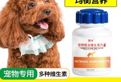 狗狗怀孕后吃什么好,怀孕期间吃什么对宝宝好又不长胖
