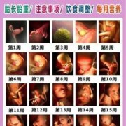 怀孕周期胎儿生长图片（想问一下胎儿几周成形，不再只是孕囊）