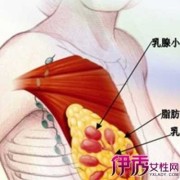 孕期乳晕（怀孕后期乳头周围乳晕上有疙瘩怎么回事）