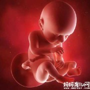36周胎儿真实图片（36周胎儿真实图片欣赏）