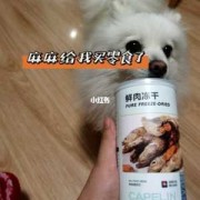 孕期吃鱼籽（狗狗能吃鱼籽吗）
