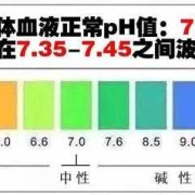 酸碱度看胎儿性别准吗（酸碱度决定胎儿性别吗）