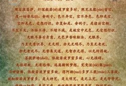 小孩念《心经》好吗？晚上能念吗,心经对胎儿的功效