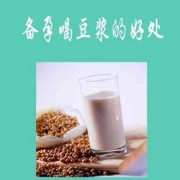 备孕期间可以喝豆浆吗（男性备孕期间可以喝豆浆吗）