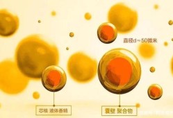 香精对胎儿有什么伤害（香精对胎儿有什么伤害吗）