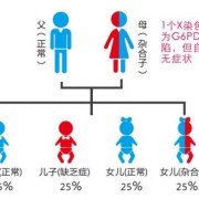 基因xyy代表什么,胎儿柒色体异常会出现什么风险