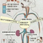 孕期尿酸偏高（孕期尿酸偏高是什么原因）