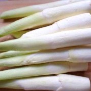 孕期可以吃茭白吗（13个月宝宝可以吃茭白吗）