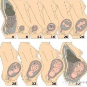 胎儿踢侧腰（胎儿踢侧腰好难受）