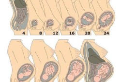胎儿踢侧腰（胎儿踢侧腰好难受）