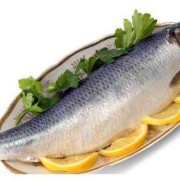 孕期只吃鱼（孕期只吃鱼不吃肉可以吗）