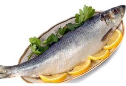 孕期只吃鱼（孕期只吃鱼不吃肉可以吗）