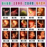 怀孕13周胎儿稳定了吗（怀孕13周胎儿稳定了吗可以同房吗）