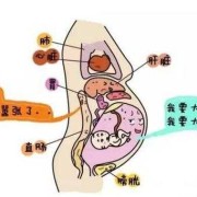 怀孕便秘对胎儿有什么影响（怀孕便秘对胎儿有什么影响吗）