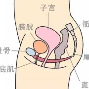 孕期外阴变化图片