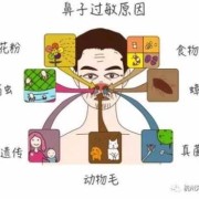 过敏性鼻炎会遗传给胎儿吗（过敏性鼻炎传染吗）