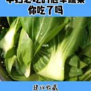 孕妇可以吃哪些青菜?怀孕期间可以吃哪些青菜补充维生素,怀孕期间吃什么蔬菜好点