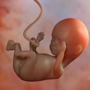 5周胎儿大小（孕36周宝宝5斤重是不是偏小啊）