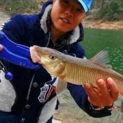 猪嘴鱼和重唇鱼区别,胎儿唇裂是什么意思