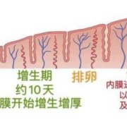 子宫内膜薄怀孕三个月了对胎儿有影响吗,内膜薄怀孕后对胎儿有影响吗知乎