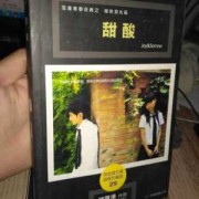 《甜酸》是什么样的小说,孕期爱吃酸甜的是男孩还是女孩