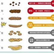 孕期排便（怀孕后大便就很多了是怎么回事）