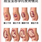 胎儿一天都在动正常吗（6个月的宝宝一天拉几次正常）