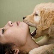 孕妇接触狗狗对胎儿有影响吗（孕妇接触狗狗对胎儿有影响吗）