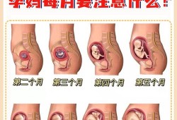怀孕吃中药对胎儿有影响吗（怀孕一个月喝了中药对胎儿有影响吗）
