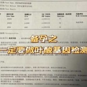 孕期叶酸测定（叶酸检测有必要做吗）