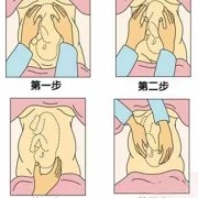 孕期检查的四步触诊法（26周宝宝在肚子里什么样的）