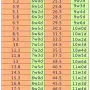 孕二十三周胎儿多大,23周胎儿体重标准值是多少