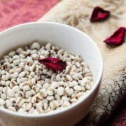 孕期哪些食物不能吃,备孕期能吃薏米吗?