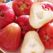 孕妇吃莲雾对胎儿好吗（孩子多吃什么水果好）