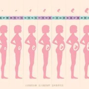 怀孕1-3个月食谱表,孕期各阶段食谱大全