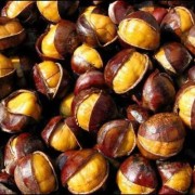 孕期能吃板栗吗（孕期能吃板栗吗初期）
