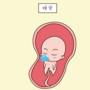 宝宝睡觉时间过多可以叫醒她吗,胎儿睡觉时会被吵醒吗视频