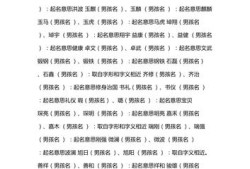 双胞胎儿子（双胞胎儿子起名字大全）