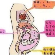 胎儿入盆宫高会降低吗（宝宝入盆后会有什么症状）