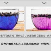 孕期黑枸杞（孕期黑枸杞泡水喝吗）