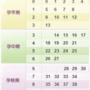 孕期计算表（孕期计算表格）