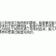 胎儿的营养（胎儿的营养从母体哪里获得）